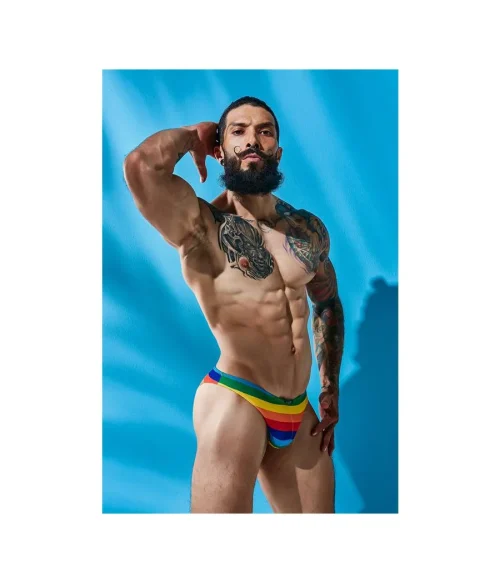 Disc*c4m low rise bikini brief-rainbow-l
