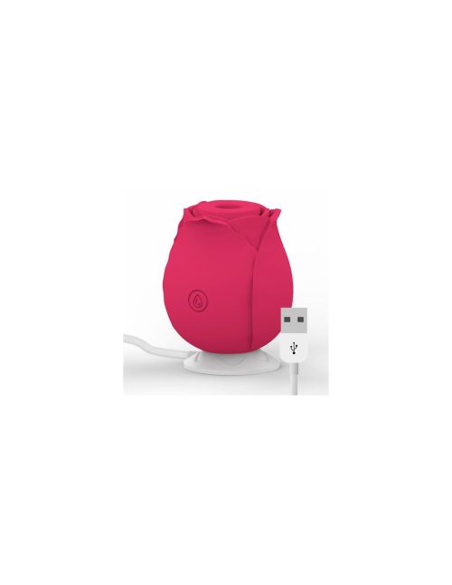 Estimulador clitoriano rosa wave