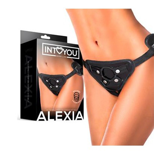 Arnês Universal Alexia com Corrente Ajustável