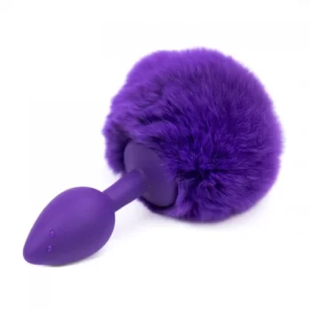 Anal plug